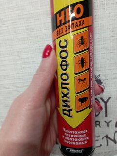 Инсектицид Дихлофос Нео+, универсальный, аэрозоль, 190 мл, Арнест - фото 1 от пользователя