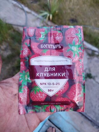 Удобрение Богатырь, для клубники, 50 г, Лама Торф - фото 4 от пользователя