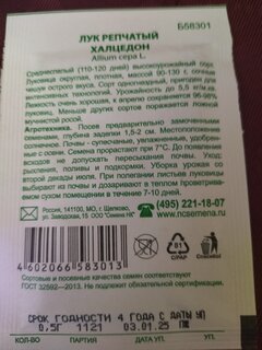 Семена Лук репчатый, Халцедон, 0.5 г, Первая цена, белая упаковка, Русский огород - фото 4 от пользователя