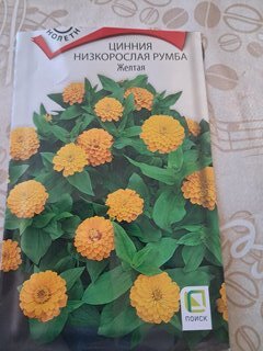 Семена Цветы, Цинния, Румба Жёлтая, 0.1 г, низкорослая, многоцветковая, красная, цветная упаковка, Поиск - фото 2 от пользователя