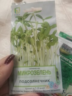 Семена Микрозелень, Подсолнечник, 8 г, Поиск - фото 6 от пользователя