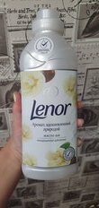 Кондиционер для белья Lenor, 0.77 л, Масло Ши, концентрат - фото 1 от пользователя