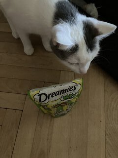 Корм для животных Dreamies, 60 г, для кошек, лакомство, с курицей и мятой, 77185 - фото 4 от пользователя