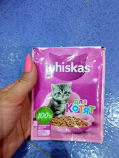 Корм для животных Whiskas, 75 г, для котят, 1-12 месяцев, кусочки в желе, телятина, пауч, G8462 - фото 3 от пользователя