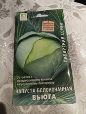 Семена Капуста белокочанная, Вьюга, 0.5 г, Сибирская, цветная упаковка, Поиск - фото 7 от пользователя