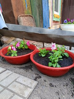 Таз пластик, 9 л, круглый, красный, Sparkplast, IS40007/3 - фото 6 от пользователя