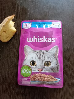 Корм для животных Whiskas, 75 г, для взрослых кошек 1+, рагу, треска/лосось, пауч, G8479 - фото 1 от пользователя