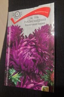 Семена Цветы, Астра, Фиолетовая башня, 0.3 г, пионовидная, цветная упаковка, Поиск - фото 8 от пользователя