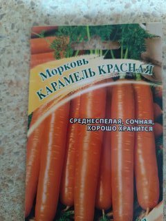 Семена Морковь, Карамель красная, 150 шт, Семена от автора, цветная упаковка, Гавриш - фото 1 от пользователя