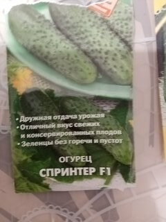 Семена Огурец, Спринтер F1, цветная упаковка, Поиск - фото 4 от пользователя