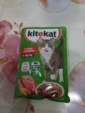 Корм для животных Kitekat, 85 г, для кошек, говядина в желе, пауч - фото 5 от пользователя