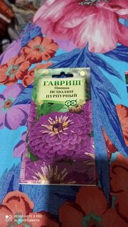 Семена Цветы, Цинния, Исполин пурпурный, 0.3 г, цветная упаковка, Гавриш - фото 4 от пользователя