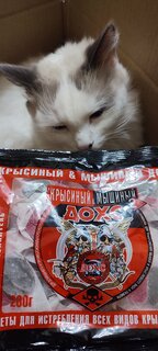 Родентицид Дохс, от крыс и мышей, двухкомпонентный, мягкие брикеты, 200 г - фото 6 от пользователя