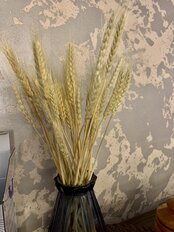 Цветок искусственный декоративный Колосья, 60 см, белый, Y4-6313 - фото 6 от пользователя