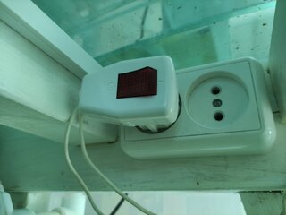 Вилка угловая, с заземлением, 16 А, IP20, 250 В, разборная, с выключателем, белая, General Lighting Systems, 470516 - фото 1 от пользователя