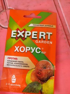 Фунгицид Хорус, от болезней плодовых культур, 2 г, Expert Garden - фото 9 от пользователя
