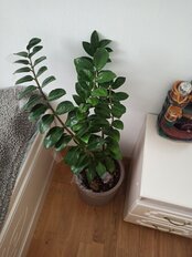 Горшок для цветов пластик, 9.5 л, 28х27 см, с вставкой, французcкий серый, Idea, Этна, М 3184 - фото 8 от пользователя