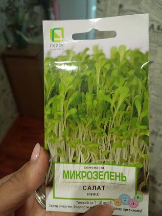 Семена Микрозелень, Салат Микс, 5 г, цветная упаковка, Поиск - фото 4 от пользователя