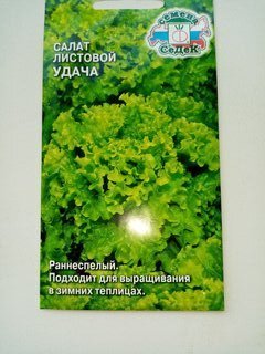 Семена Салат листовой, Удача, 0.5 г, цветная упаковка, Седек - фото 8 от пользователя