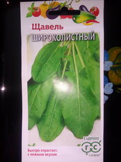 Семена Щавель, Широколистный, 0.5 г, цветная упаковка, Гавриш - фото 3 от пользователя