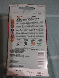 Семена Томат, Краса сибири, 0.1 г, Сибирская, цветная упаковка, Поиск - фото 1 от пользователя