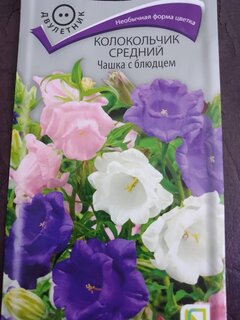 Семена Цветы, Колокольчик, Чашка с блюдцем, 0.2 г, цветная упаковка, Поиск - фото 2 от пользователя