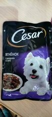 Корм для животных Cesar, 85 г, для собак, кусочки в соусе, ягненок с овощами, F5873 - фото 8 от пользователя