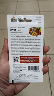 Семена Цветы, Гацания, Муза, 0.05 г, Удачные семена, крупноцветковая, смесь, цветная упаковка, Гавриш - фото 6 от пользователя