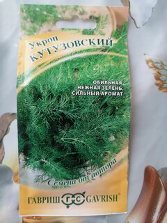 Семена Укроп, Кутузовский, 2 г, Семена от автора, авторские, цветная упаковка, Гавриш - фото 6 от пользователя