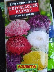 Семена Цветы, Астра, Королевский размер, 0.1 г, смесь сортов, цветная упаковка, Аэлита - фото 8 от пользователя