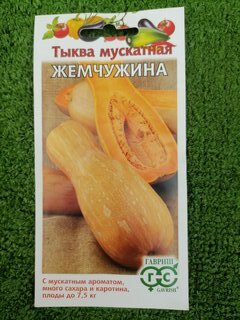 Семена Тыква, Жемчужина мускатная, 1 г, цветная упаковка, Гавриш - фото 7 от пользователя