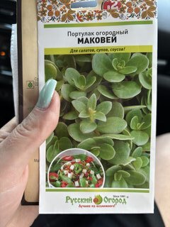 Семена Портулак огородный, Маковей, 0.1 г, цветная упаковка, Русский огород - фото 1 от пользователя