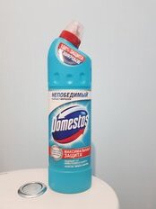 Чистящее средство универсальное, Domestos, Свежесть Атлантики, гель, 1 л - фото 1 от пользователя