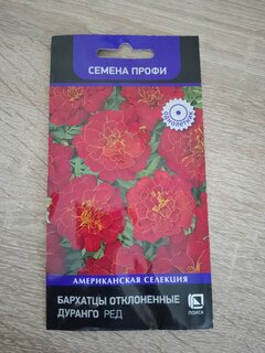 Семена Цветы, Бархатцы, Дуранго Ред, отклоненные, цветная упаковка, Поиск - фото 3 от пользователя