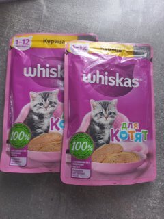 Корм для животных Whiskas, 75 г, для котят, 1-12 месяцев, паштет, курица, пауч, G8472 - фото 3 от пользователя