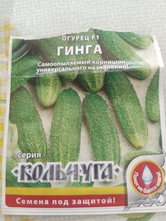 Семена Огурец, Гинга F1, Кольчуга, цветная упаковка, Русский огород - фото 3 от пользователя