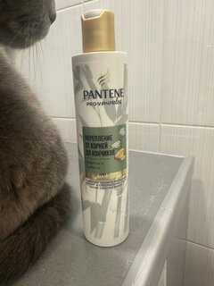 Шампунь Pantene Pro-V, Miracles, для сухих и поврежденных волос, 250 мл - фото 7 от пользователя