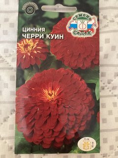 Семена Цветы, Цинния, Черри Куин, 0.5 г, цветная упаковка, Седек - фото 9 от пользователя