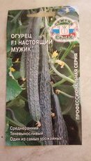 Семена Огурец, Настоящий Мужик F1, 0.2 г, цветная упаковка, Седек - фото 6 от пользователя