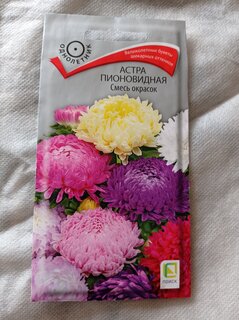 Семена Цветы, Астра, Смесь окрасок, 0.3 г, пионовидная, цветная упаковка, Поиск - фото 6 от пользователя