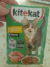 Корм для животных Kitekat, 85 г, для кошек, курица в желе, пауч - фото 3 от пользователя