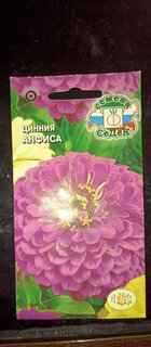 Семена Цветы, Цинния, Анфиса, 0.5 г, цветная упаковка, Седек - фото 9 от пользователя