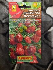 Семена Земляника, Душистое лукошко, 0.04 г, цветная упаковка, Аэлита - фото 3 от пользователя