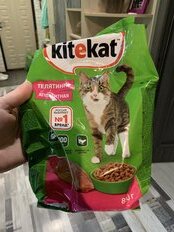 Корм для животных Kitekat, 800 г, для взрослых кошек, сухой, аппетитная телятинка, пакет, 10132147 - фото 2 от пользователя