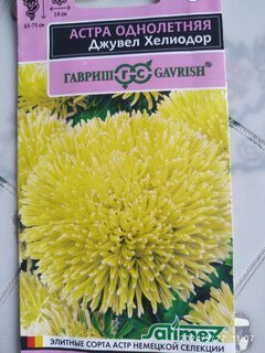 Семена Цветы, Астра, Джувел Хелиодор однолетняя, игольчато-коготковая, 0.05 г, Эксклюзив, цветная упаковка, Гавриш - фото 3 от пользователя