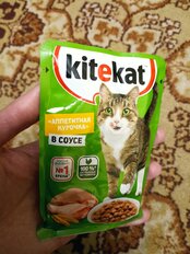 Корм для животных Kitekat, 85 г, для кошек, курица в соусе, пауч - фото 2 от пользователя