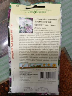 Семена Цветы, Петуния, Яромнерже Фриллитуния бахромчатая, махровая, цветная упаковка, Гавриш - фото 4 от пользователя