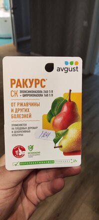 Фунгицид Ракурс, от ржавчины, 10 мл, Avgust - фото 2 от пользователя