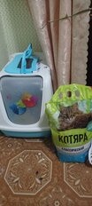 Наполнитель для лотка комкующийся, 4.2 кг, полиэтиленовый пакет, Котяра, Классический - фото 1 от пользователя