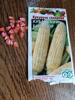 Семена Кукуруза, Кубанский биколор F1, 20 шт, сахарная, цветная упаковка, Гавриш - фото 2 от пользователя